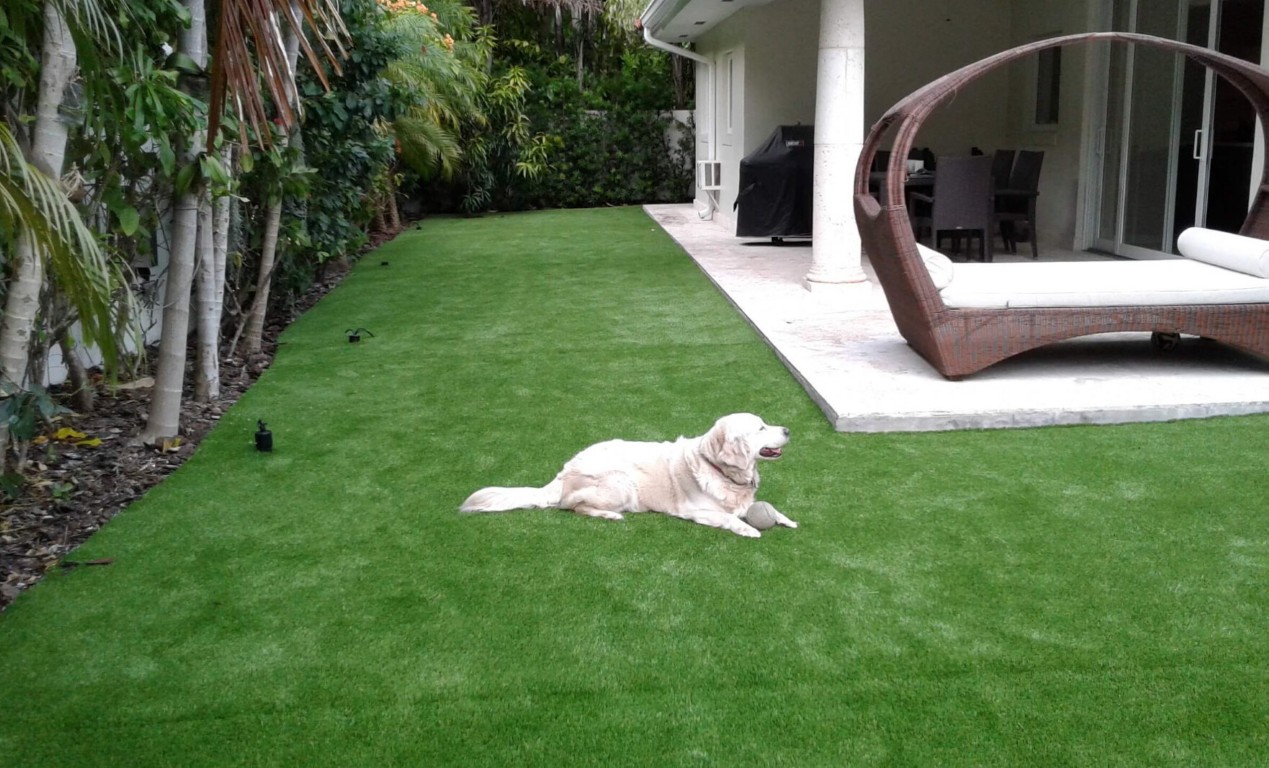 Pet turf and dog turf systems in Des Plaines, IL